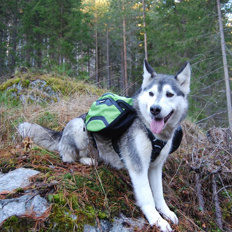 Truelove Dog Harness with Backpack Pet Supplies Reflective Dog Harness for Great and Small Travel Sport Outwork Dog Accessories