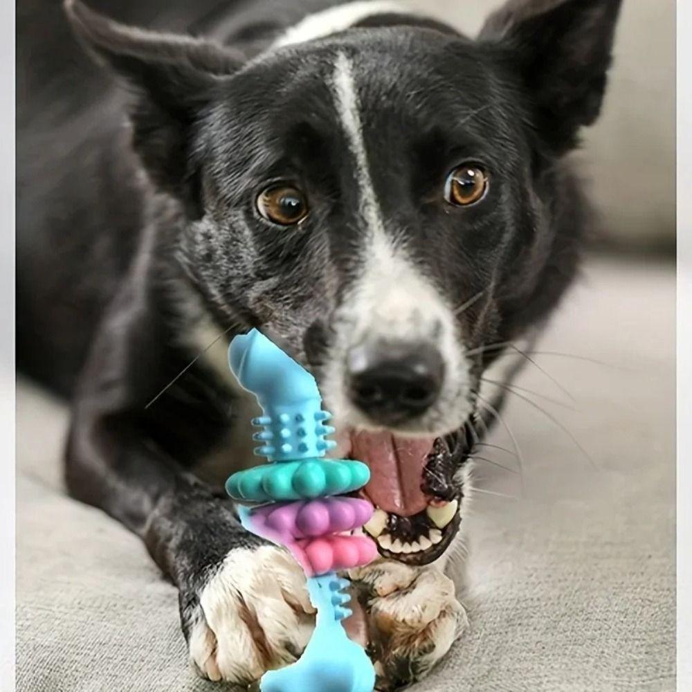 TPR Dog Chew Bone Geometric Pattern Thermoplastic Rubber Dog Bone Shape Chew Resistant Indestructible Chew Dog Chewing