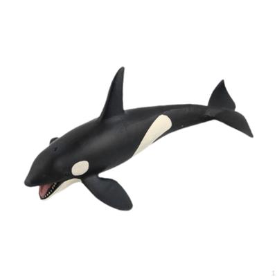 Realistic Whales Figures Model Animal Collection Party Favor Marine Life Kids Play Toy