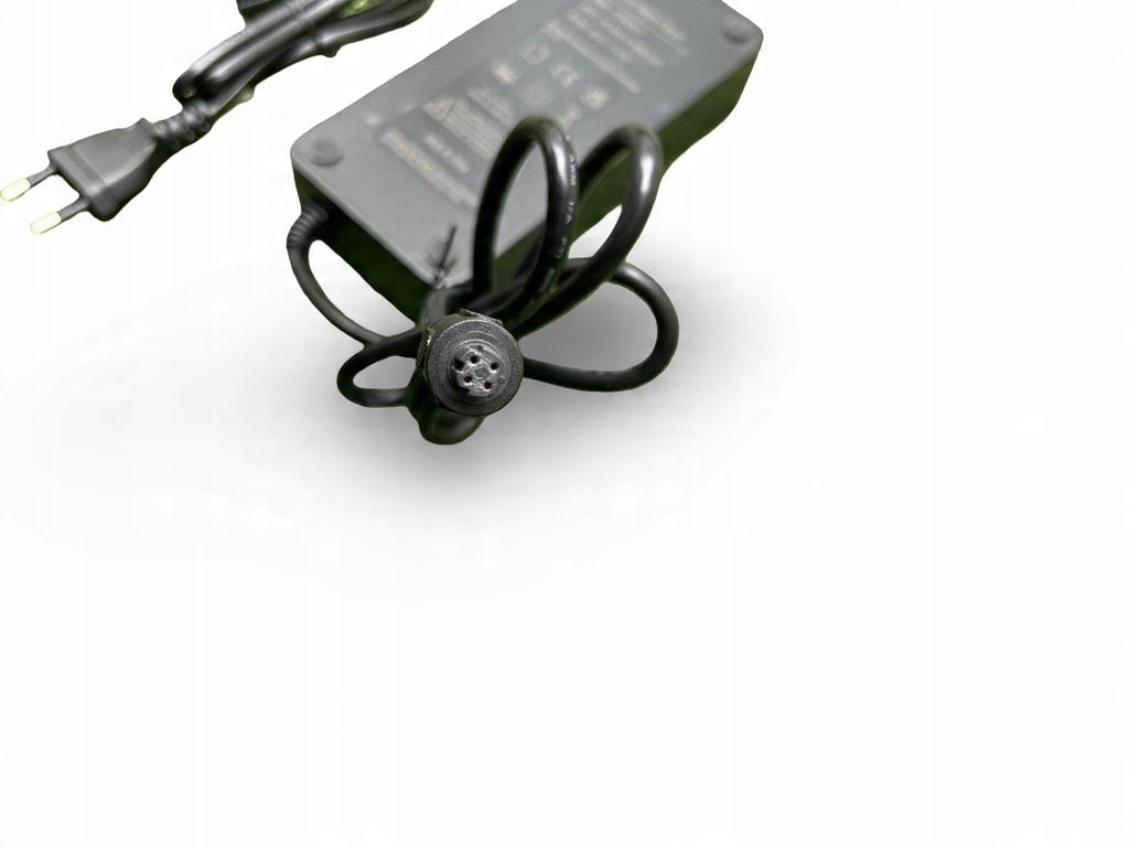 Caricabatterie Yamaha a 4 pin 500Wh per Bicicletta Elettrica 42V 4A