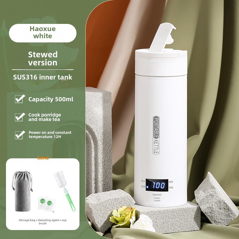 Mini Portable Electric Kettle with Thermostat - 110V US Standard, Ideal for Travel and Office