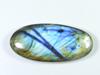 96 cts. Labradorita natural multifuego, cabujón ovalado suelto, 23 x 51 x 8 mm, SK-1173