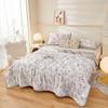 Cool Blanket Cool Quilt For Summer 2024 New Breathable Skin Friendly And Cool Silk Summer Quilt