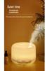 500ml Large Mist Humidifier & Essential Oil Diffuser for Home