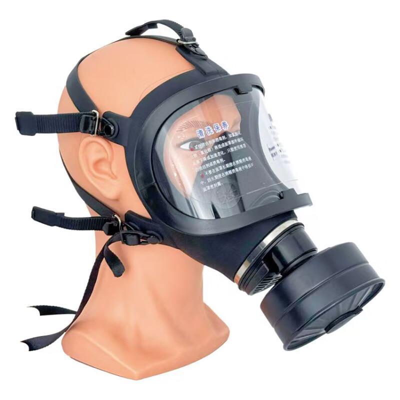 Lieve Full Face Gas Mask Respirator One Size