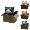 Cartoon 4pcs Cat Poor Box Kitten Model Small Statue Car Figurine Figure Crafts