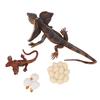 4 Stück Simulations-Tiermodell Simulations-Echsenwachstumsornament Kinder Kognitiver Wachstumszyklus