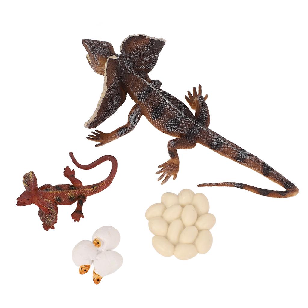 4 Stück Simulations-Tiermodell Simulations-Echsenwachstumsornament Kinder Kognitiver Wachstumszyklus