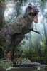 Star Ace Toys Wonders of the Wild Tyrannosaurus Rex Polyresin Approximately 370mm in Complete Figure SA5014 Statue, Length, Non-Scale, Painted,