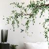 2 Pcs Large Green Tree Leaves Wall Stickers Hanging Vine Wall Decals Peel And Stick Branch Birds Wall Murals for Living Room TV Background Bedroom