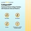 CollagenUP®, Hydrolyzed Marine Collagen Peptides with Hyaluronic Acid and Vitamin C, Unflavored, 2.2 lb (1 kg)