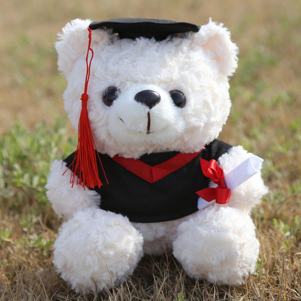 Graduation Teddy Bear Plush Toy With Pp Cotton Filling For Birthday Gift Girls