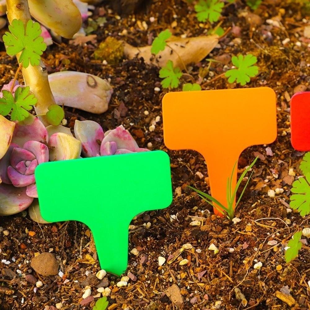 100PCS Thickened Stake Tags Waterproof T-type Tags Garden Tools Markers Label Garden
