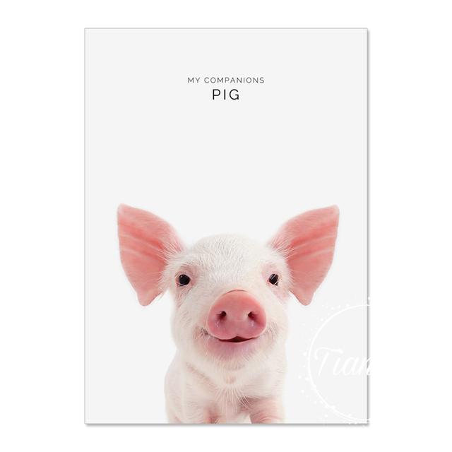 Animal Decoration Sheets Picture Wall Art Poster Children's Canvases Room Paintings For Nursery Decorative Prints Wall Posters No Frame
