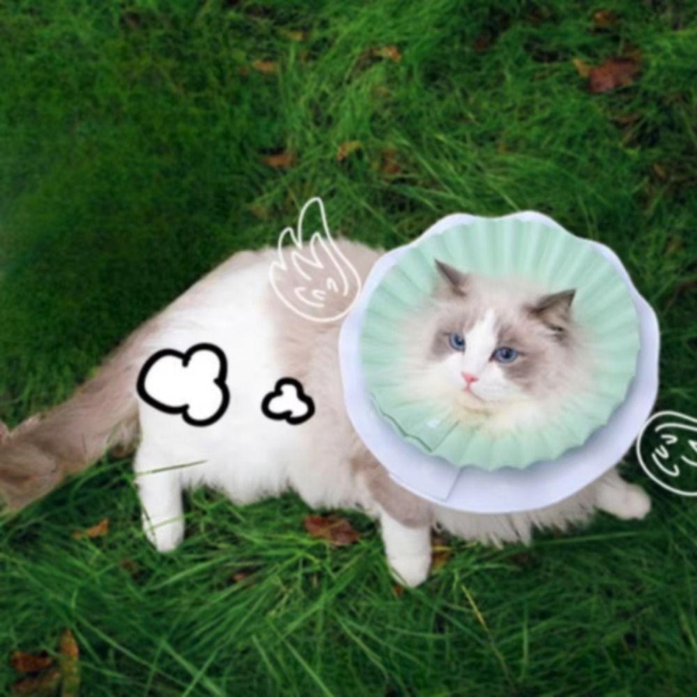 Double Layer Cat Elizabeth Collars with Buckle Protective EVA Neck Protective Circle Comfortable Easy to Wear Dog Neck Cone