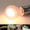 Infrared Neodymium Heating Bulb: 30W/40W/60W/100W/150W, Black, R63/R80/R95