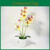 Phalaenopsis Potted Plant Ornament For Office Desk And Living Room Decor