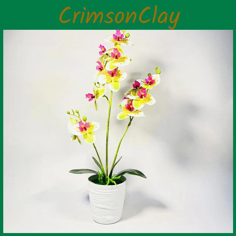 Phalaenopsis Potted Plant Ornament For Office Desk And Living Room Decor