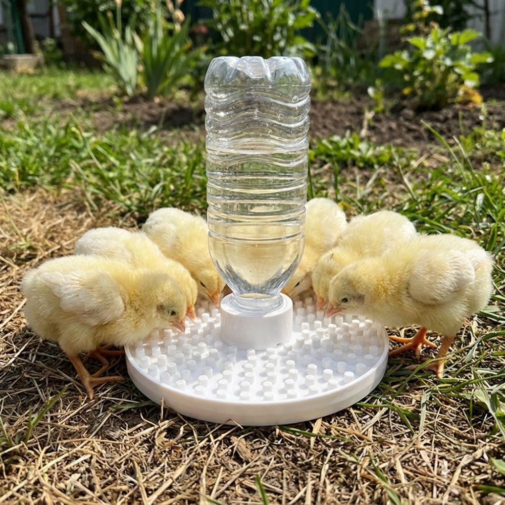 Multi-Hole Chicks Automatic Drinking Tray Plastic Bee Water Dispenser Home Balcony