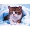 150 Piece Jigsaw Puzzle - Baby Cat 2