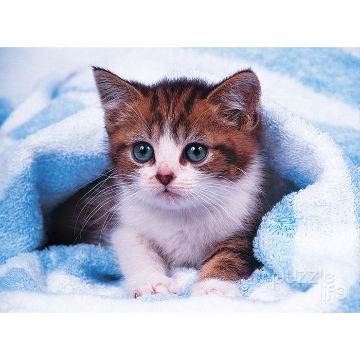 150 Piece Jigsaw Puzzle - Baby Cat 2
