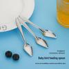 Stainless Steel Bird Feeding Spoon for Parrots, Cockatiels, Budgies, and Chicks