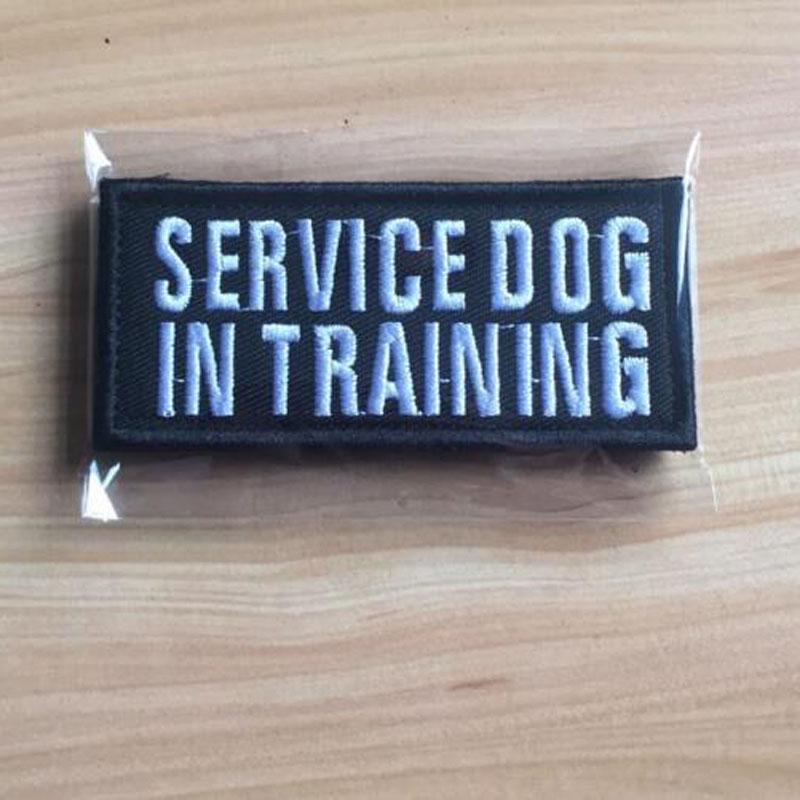 therapy dog in training patch