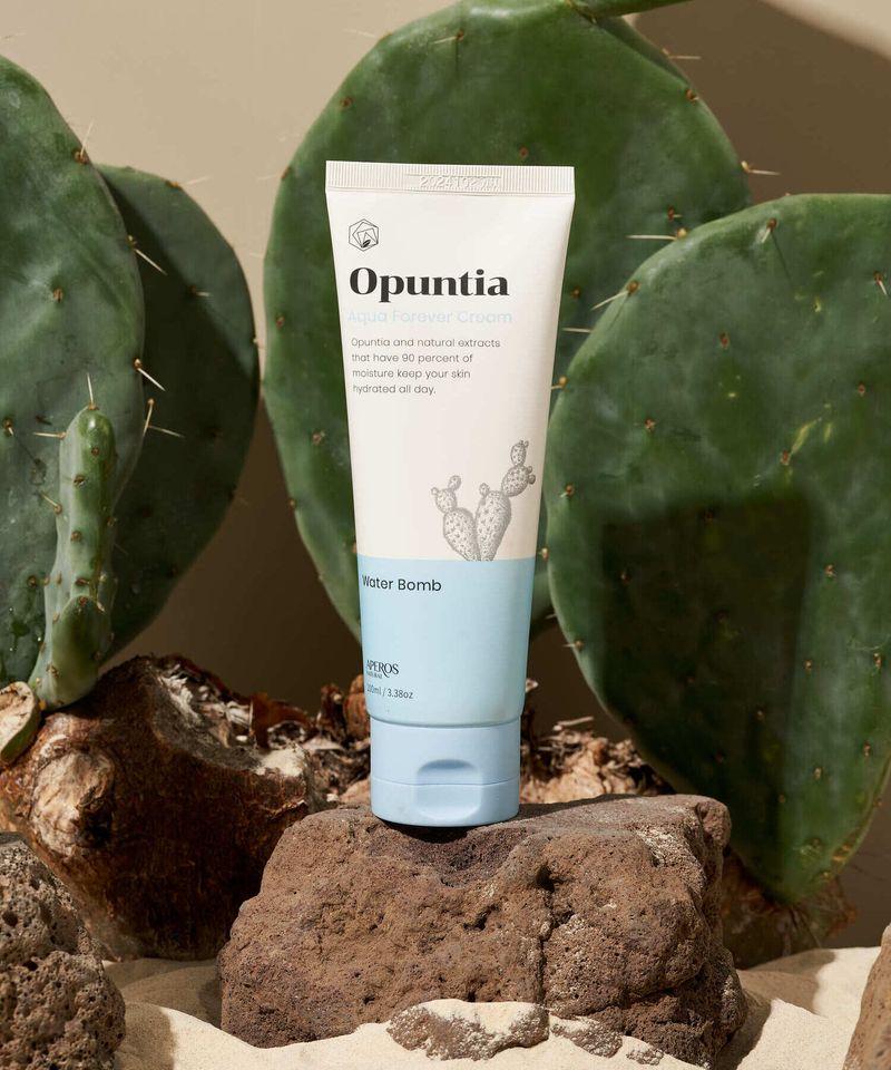 Cheonnyeoncho Aqua Forever Moisturizing Cream