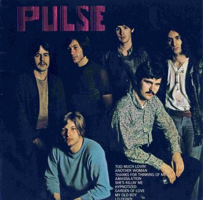 CD PULSE Pulse FOCD2022 Fallout 2007 US Rock Gebraucht