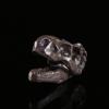 1Pcs Mini Tyrannosaurus Rex Dinosaur Resin Fossil Skull Collectibles Dark Grey