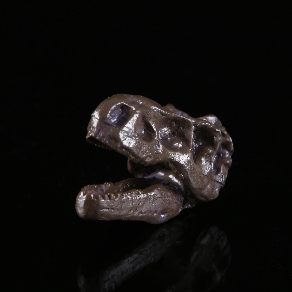 1Pcs Mini Tyrannosaurus Rex Dinosaur Resin Fossil Skull Collectibles Dark Grey