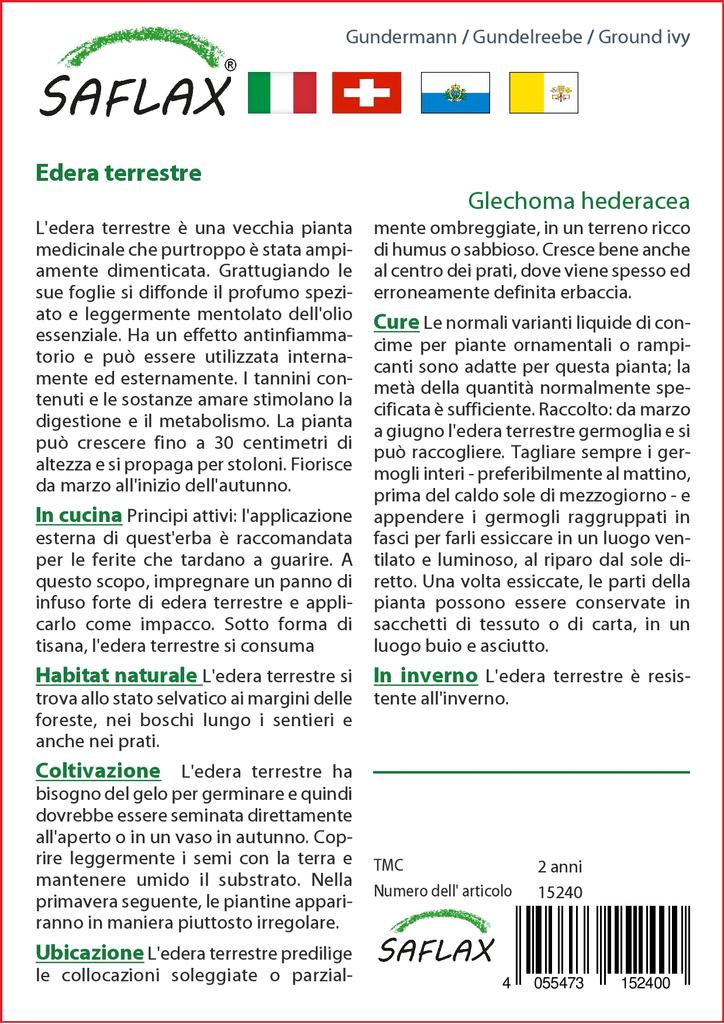 SAFLAX Garden in the Bag – Gemahlener Efeu – 75 Samen – Mit Substrat im passenden Standbeutel – Glechoma hederacea