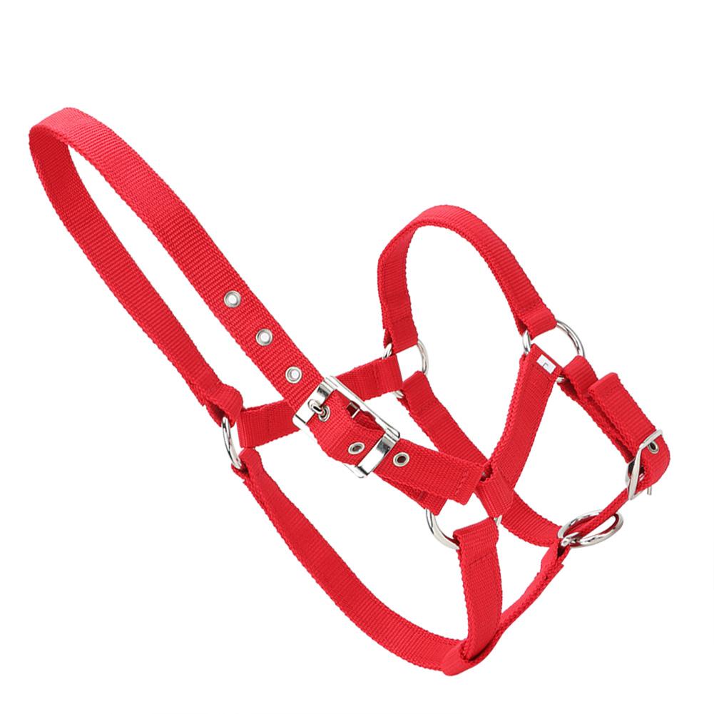 High Density 6mm Thickened Webbing Horse Bridle Control Halter Riding Accessories Red Color