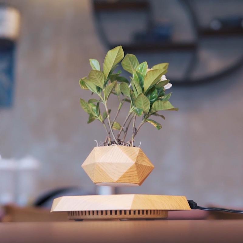 Magnetic Levitation Potted Plant: Creative Bonsai Handicraft Gift for Teacher's Day & Living Room Decor.