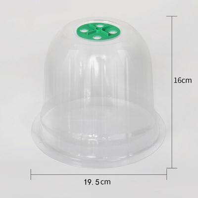 10pcs Plastic Planting Protective Cover Transparent Thermal Seedling Insulation Cover Reusable Moisturizing Seedling Hood