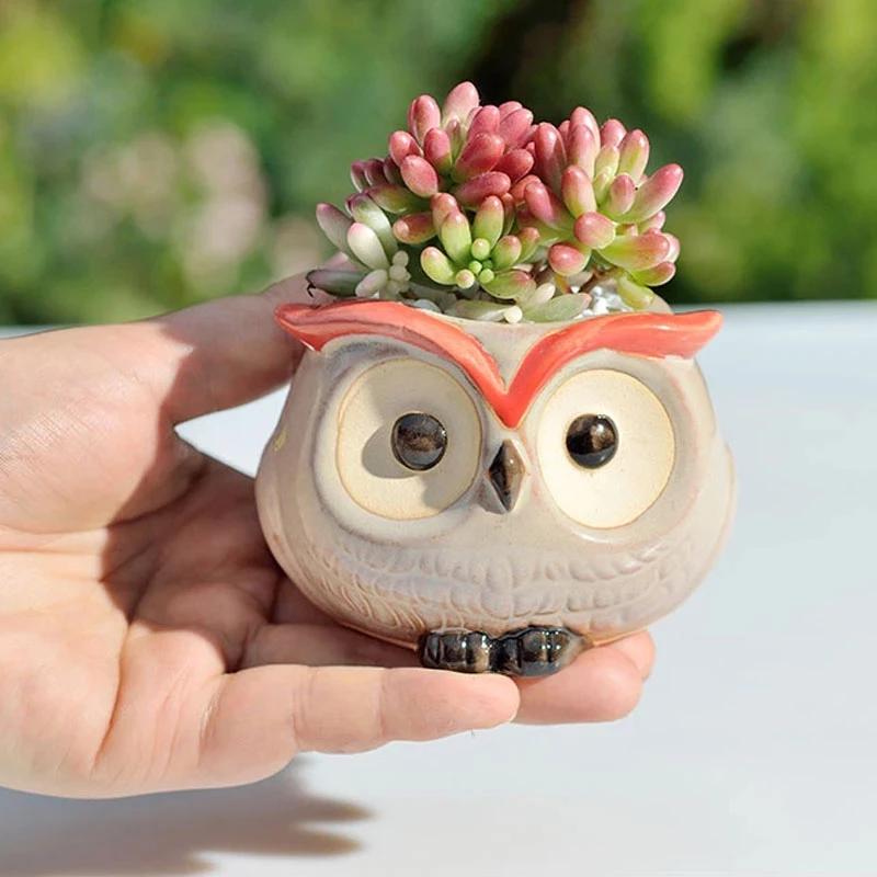 Ceramic Owl Flower Pot Cute Animal Thumb Flower Pot Mini Succulent Cactus Flowerpot Home Living Room Office Decoration Gifts