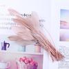 50/100PCS Multicolor Torn Goose Feathers 15-20cm Dyed Swan Plumes for DIY Crafts Jewelry Making And Dress Decoration