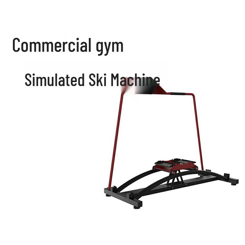 Fitness Simulation Ski Trainer