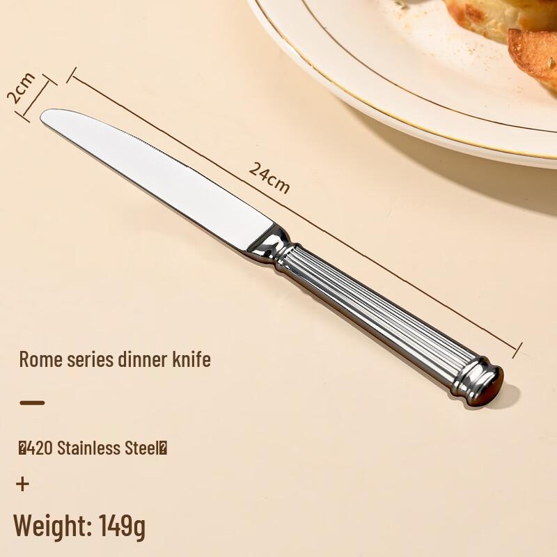 

ZISIZ Stainless Steel Dinner Knife