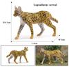 Oenux Simulation Wild Animals Bengalcat Tiger Cat Lynx Caracal Leopard Action Figure Figurines Model Education Miniature Kid Toy