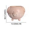 1 piece of cute cartoon piggy-shaped green plant potted plant, creative simple succulent flower pot, garden and courtyard decoration pendulum