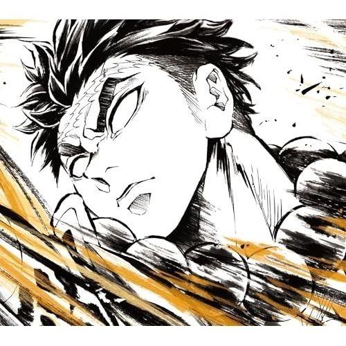 Demon Slayer Hashira Training Arc Original Soundtrack 2CD Standard Edition Japan