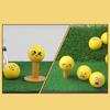 12Pcs Novelty Practice Golf Balls Funny Yellow Practice Golf Balls Lovely Emotion Face Golf Balls Golf Accessories