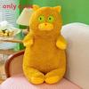 Plush Cat Toy With Three Color Eyes Soft Toy For Kids And Gift