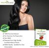 Attar Ayurveda Hibiscus Powder 100g for Hair Care, Face Pack, Tea, Pure Natural Flower Powder