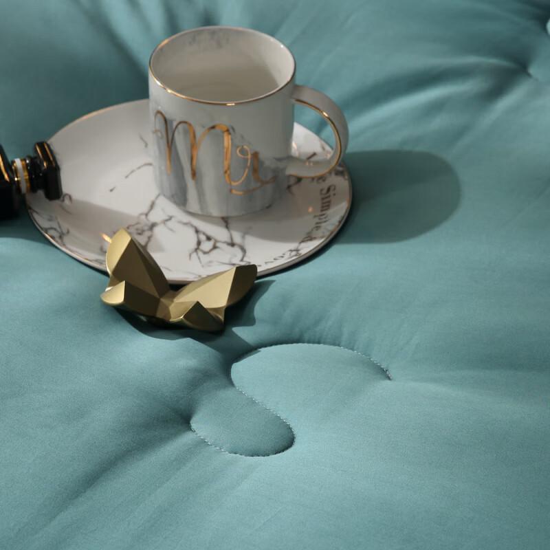Iyiyi Love 60S Long-Staple Cotton Soy Fiber Winter Duvet