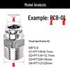 304 Stainless Steel Straight Quick Connect Pneumatic Fitting