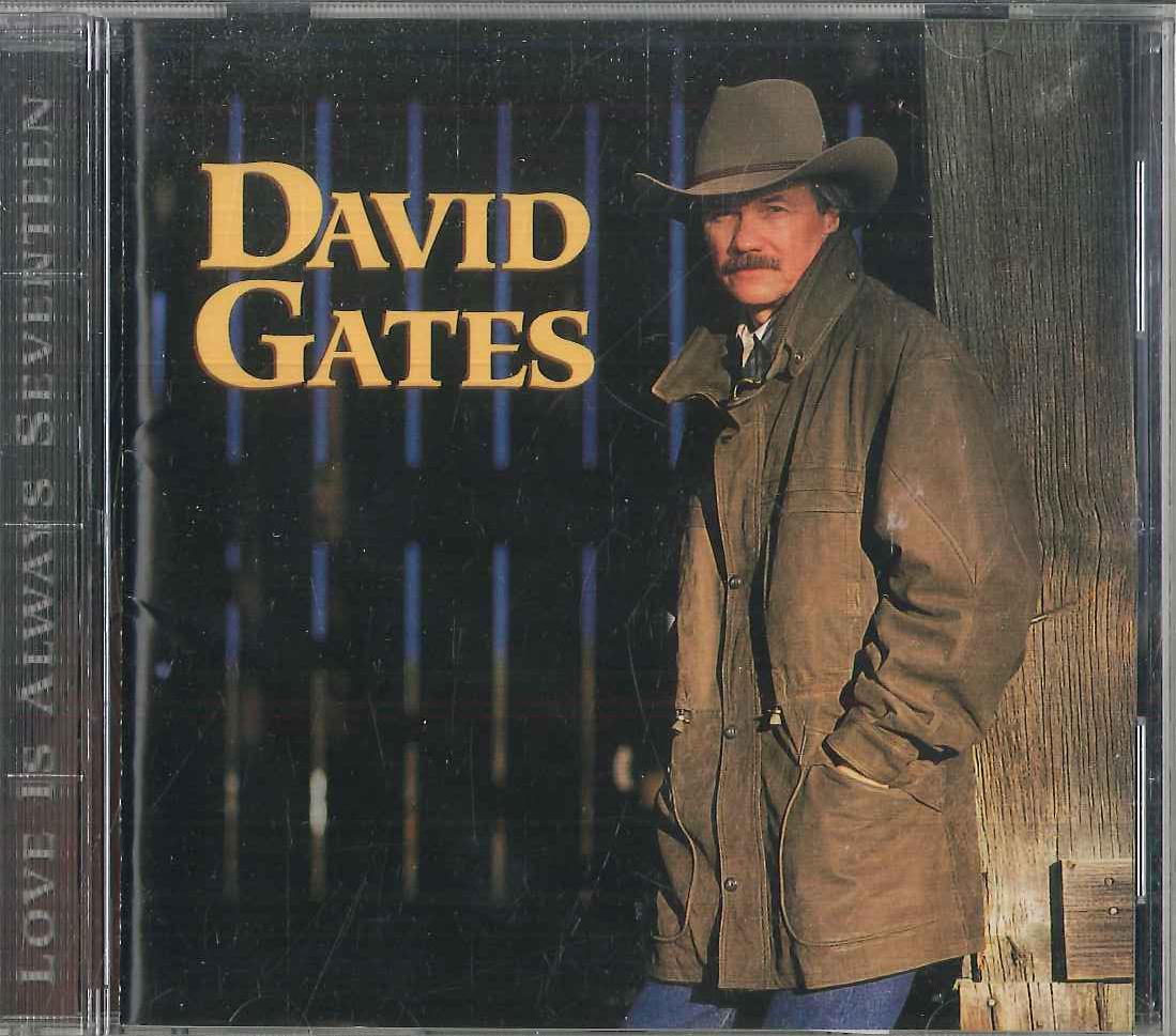 

CD DAVID GATES - Love Is Always Seventeen VACM3026 DISCOVERY 1995 Japan Rock Used