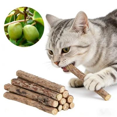 15pcs Natural Matatabi Cat Catnip Toy Kitten Molar Chew Stick Pet Cleaning Teeth Cat Treat Toy Actinidia Silvervine Pet Products