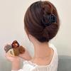 Advanced Sense Transparent Jelly Color Grab Clip Versatile Hairpin Hair Accessories Temperament Special-Shaped Grab Clip Hair Grab Shark Clip Sweet